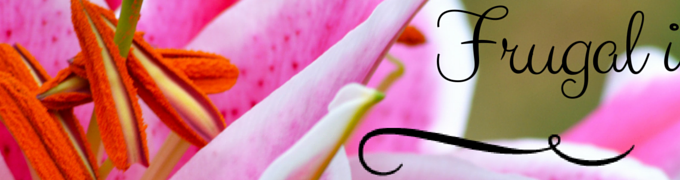 Frugal in SA header