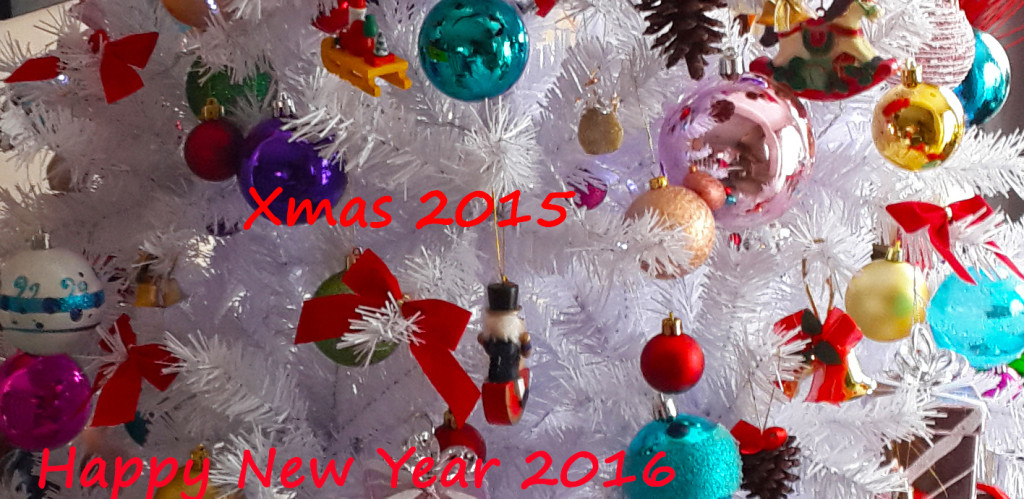 Christmas & New Year