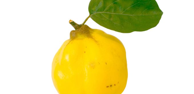 Quince