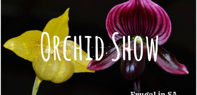 The Orchid Show