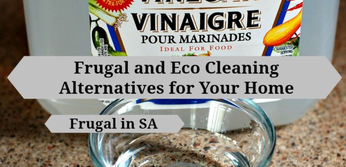 Frugal and Eco Cleaning Alternatives for Your Home
